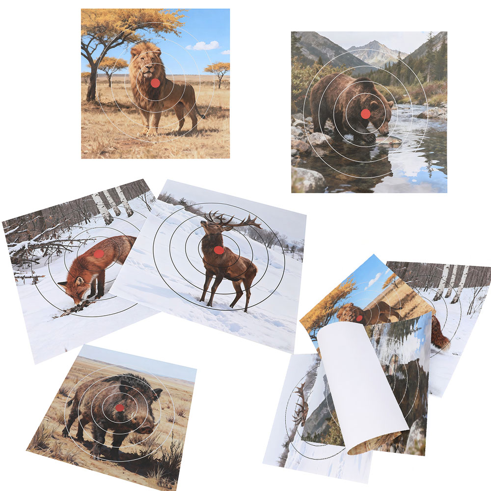40x40cm Shooting Target Paper  - مراجعة Archery Target Face وسعره