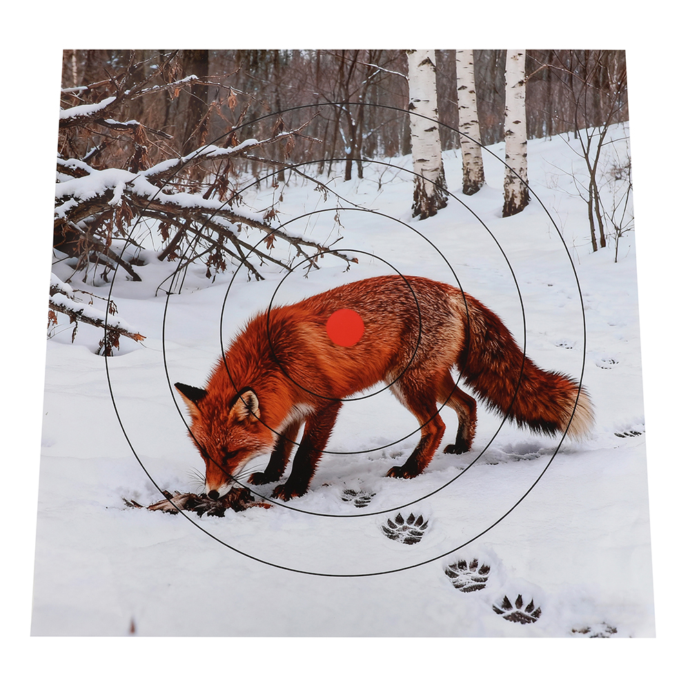 40x40cm Shooting Target Paper  - مراجعة Archery Target Face وسعره