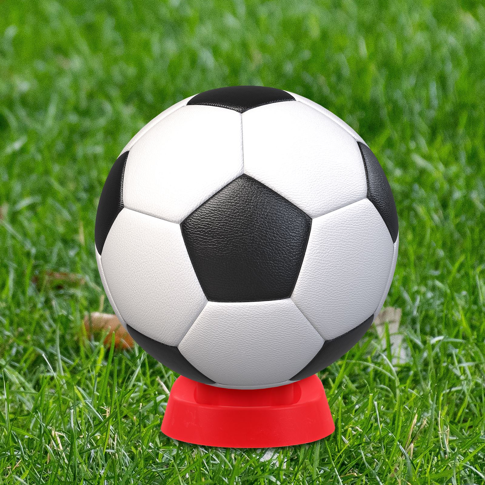 2Pcs Rugby Kicking Tee Plastic - مراجعة Rugby Training Ball وسعره